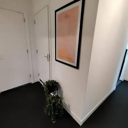 K50159 Spacious And Modern Near The Center, Free Parking Apartment